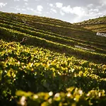 Quinta Da Corte Valenca do Douro