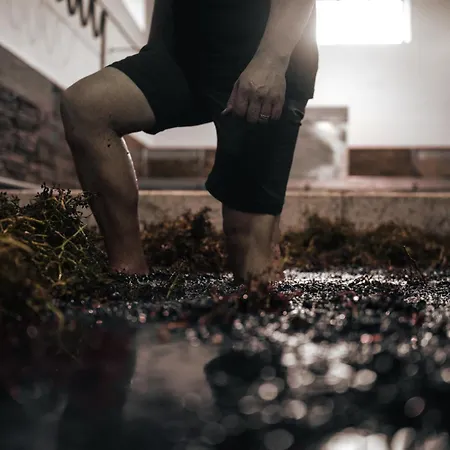 Quinta Da Corte Lantgård Valença do Douro