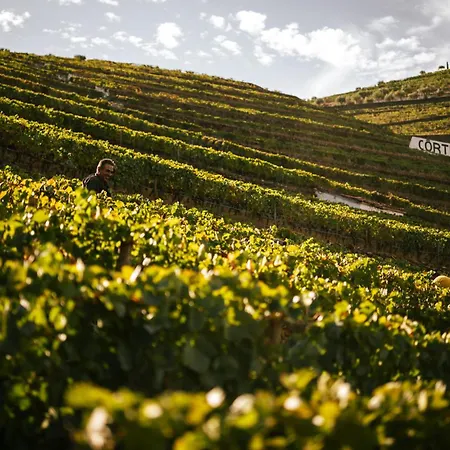 Quinta Da Corte Valenca do Douro