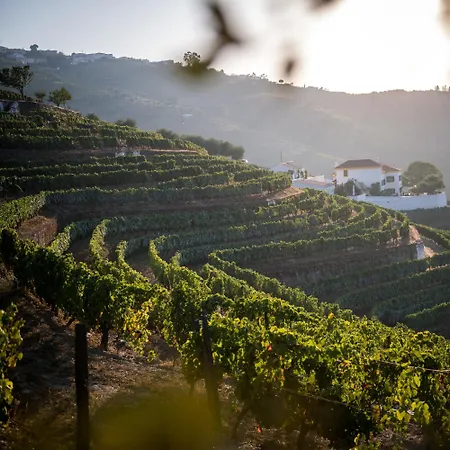 Quinta Da Corte Vakantieboerderij *