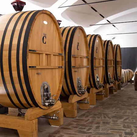 Séjour à la ferme Quinta Da Côrte Valença do Douro