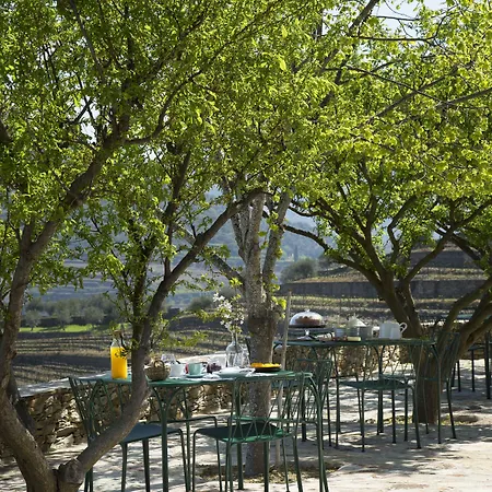 Quinta Da Corte *