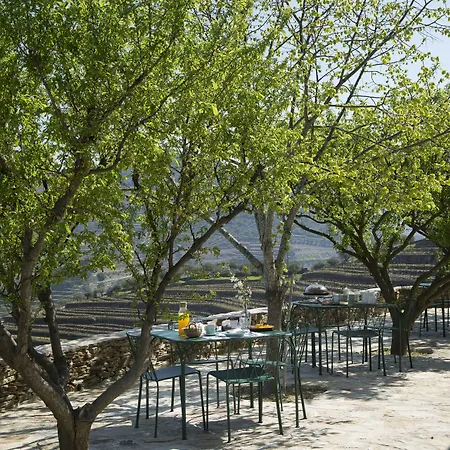 Quinta Da Corte Vakantieboerderij Valença do Douro