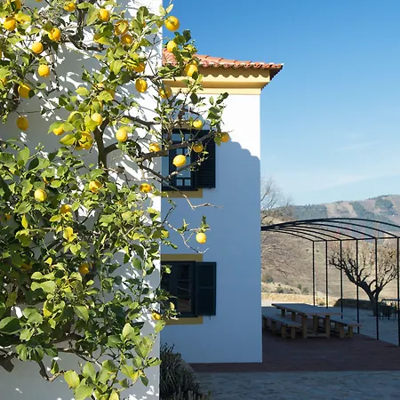 Quinta Da Corte Valença do Douro