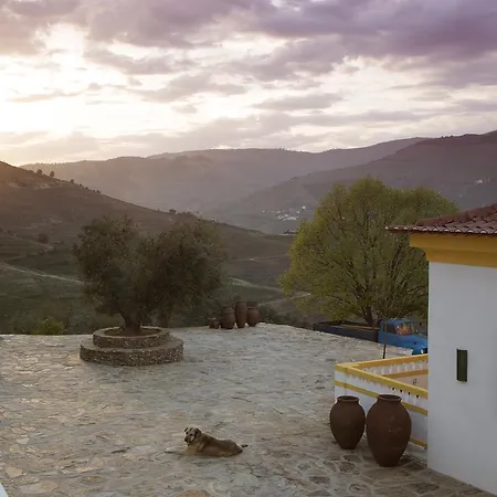 Farm stay Quinta Da Corte Valenca do Douro
