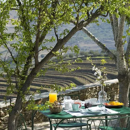 Séjour à la ferme Quinta Da Côrte *