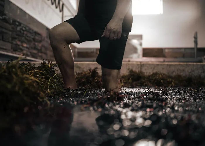 Quinta Da Corte בית חווה Valença do Douro