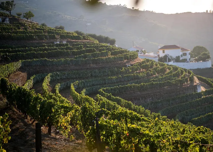 Quinta Da Corte Gospodarstwo agroturystyczne *