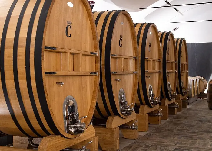 Gospodarstwo agroturystyczne Quinta Da Corte Valença do Douro