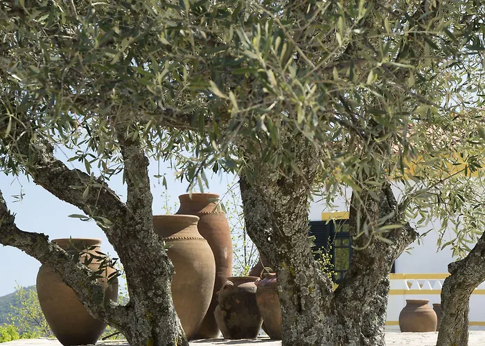 Farma Quinta Da Corte *