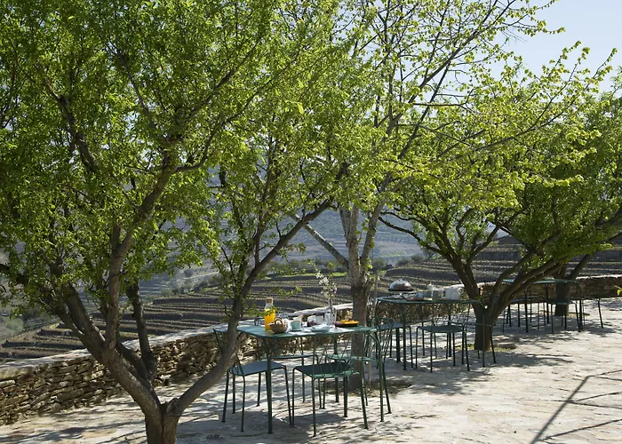 Quinta Da Corte Gospodarstwo agroturystyczne Valença do Douro