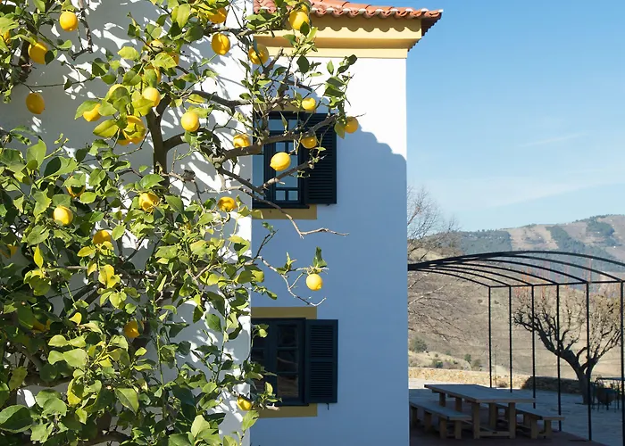 Quinta Da Corte Valença do Douro