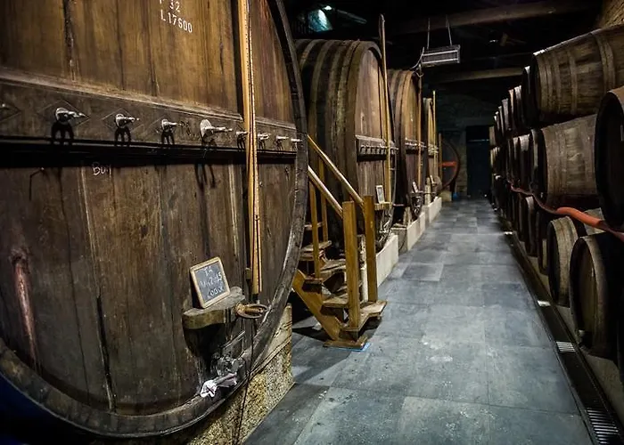 Gospodarstwo agroturystyczne Quinta Da Corte Valença do Douro